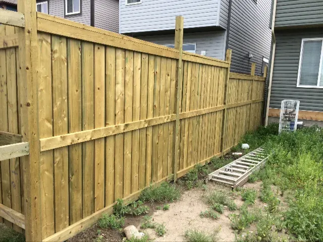 Which Fence is the Best for You? A Comparison of Pressure Treated, Cedar, and Composite Fences