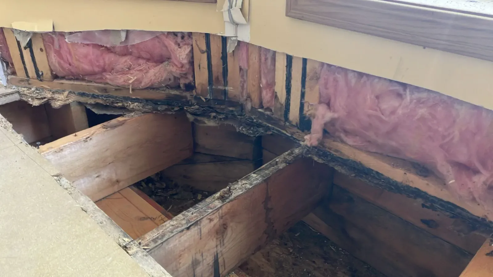 Mold damage in Calgary home bathroom – basement renovation and mold remediation by LBProjects