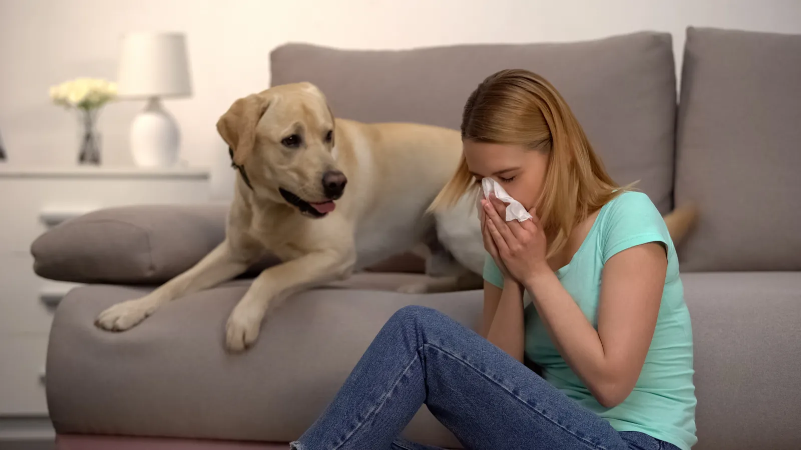 Dust mites! Why Clean your heat vents and service your furnace?